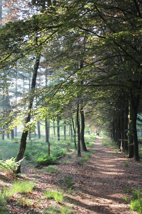 Inn The Woods - Private Stay Overberg Luaran gambar