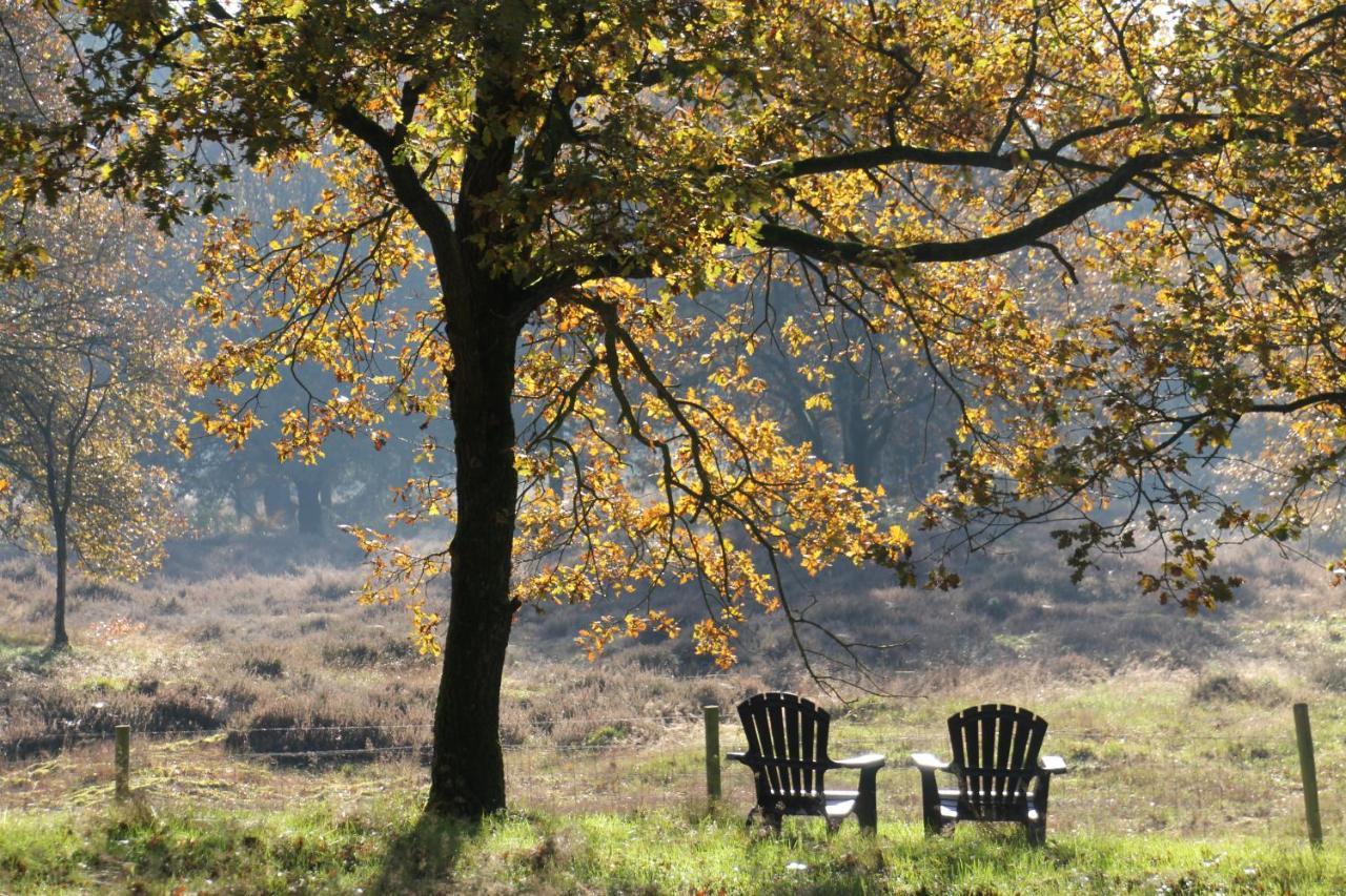 Inn The Woods - Private Stay Overberg Luaran gambar